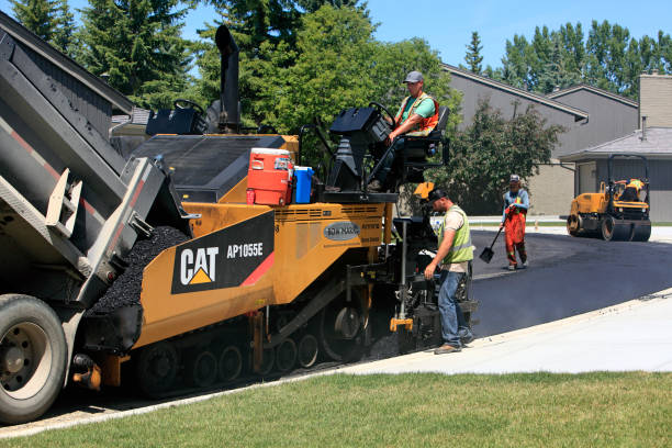 Best Custom Driveway Pavers  in Lovejoy, GA